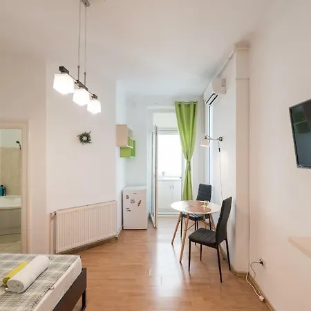 아파트 Central Cismigiu Studio 부쿠레슈티